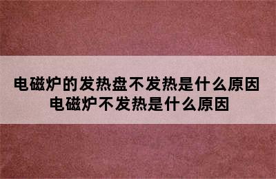 电磁炉的发热盘不发热是什么原因 电磁炉不发热是什么原因